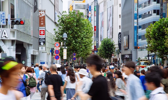 取扱い業務と報酬のご案内のイメージ